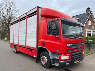 DAF CF 75.250 Handgeschakeld 575000 Orginal kilometer box truck