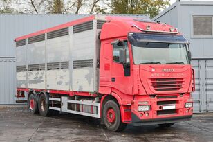 IVECO STRALIS 260 BDF  livestock truck