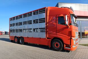 Volvo FH 460 livestock truck