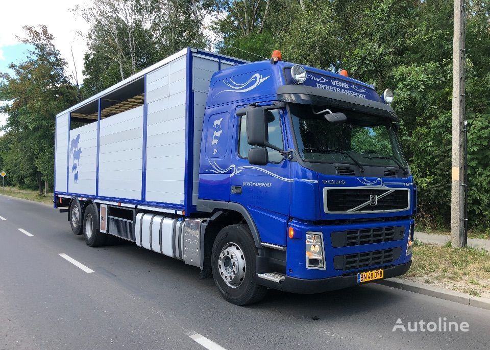 Volvo FM 440 DO BYDLA -ZYWCA livestock truck