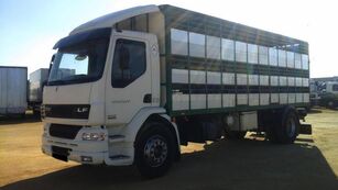 DAF LF55 250 livestock truck