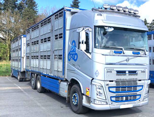 VOLVO FH 540 livestock truck + livestock trailer