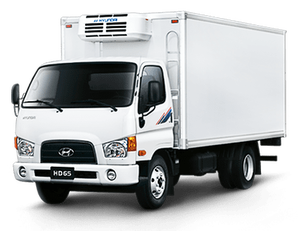 new HYUNDAI HD65 4WD refrigerated truck